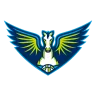 Dallas Wings logosu