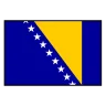 Bosna Hersek logosu