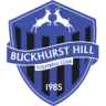 Buckhurst Hill logosu