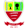 Southall FC logosu