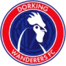 Dorking Wanderers logosu