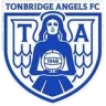 Tonbridge Angels logosu