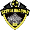 Beykoz Anadolu Spor A.Ş. logosu