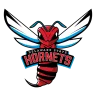 Delaware State Hornets logosu