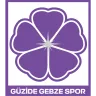 Güzide Gebze Spor Kulübü logosu