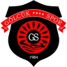 Gölcükspor logosu