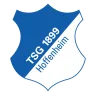 TSG Hoffenheim logosu
