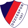 Düzce CAM Düzcespor logosu