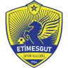Etimesgut Spor Kulübü logosu