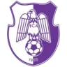 FC Argeș Pitești logosu