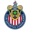 CD Guadalajara logosu