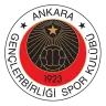 Gençlerbirliği logosu